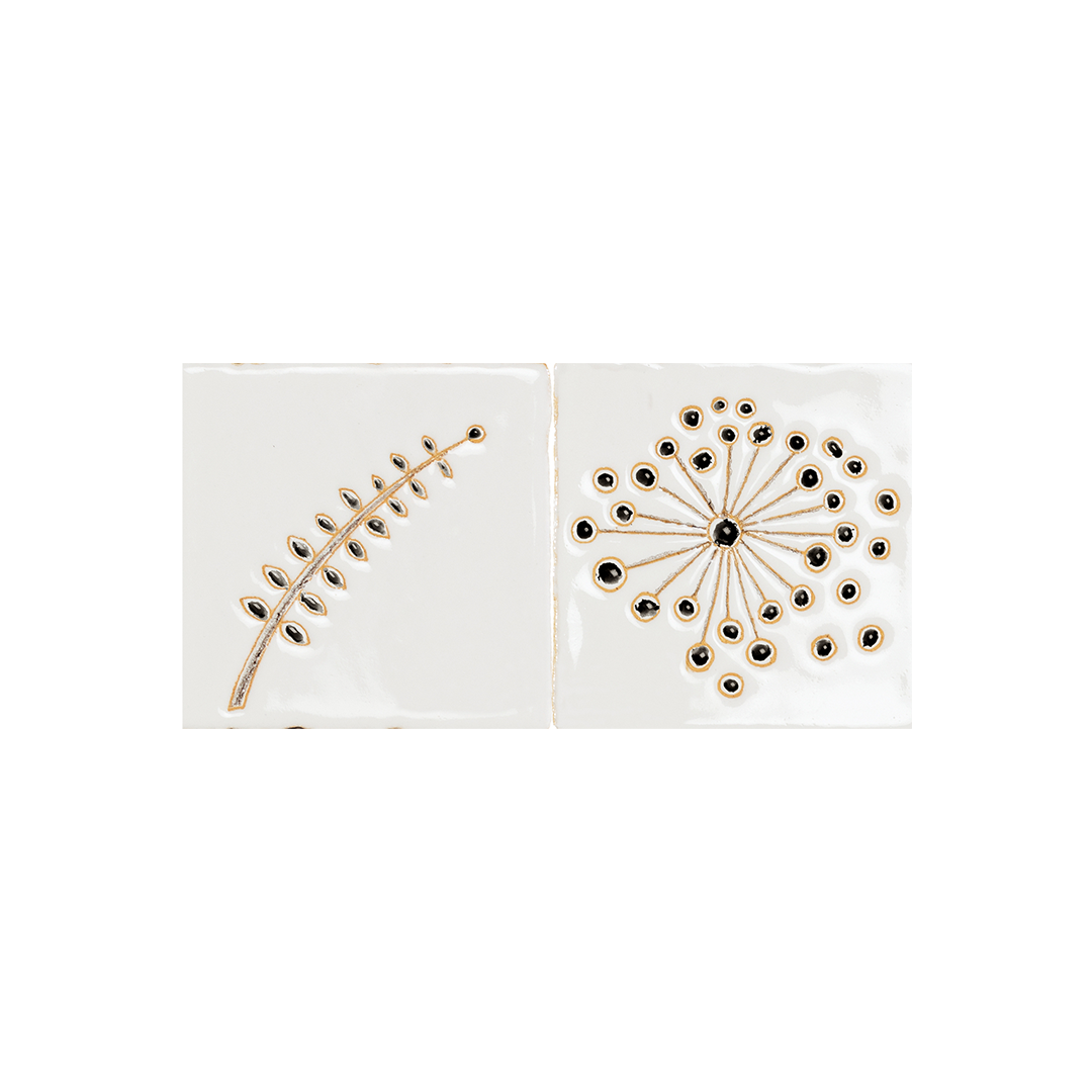 Black Helichrysum S 2